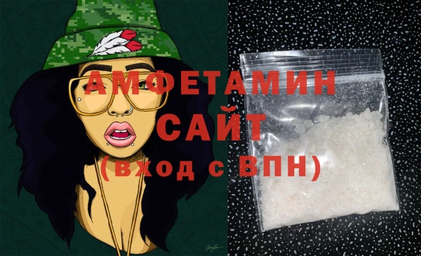 молекула духа Няндома