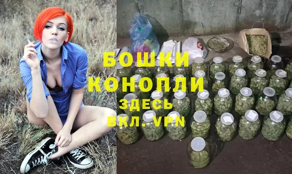ешки Анива