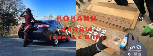 молекула духа Няндома
